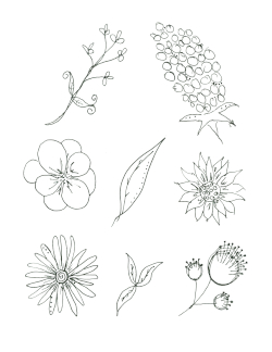 Flower Sketches