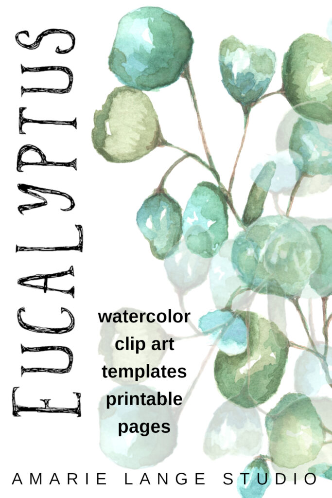 watercolor eucalyptus leaves clipart