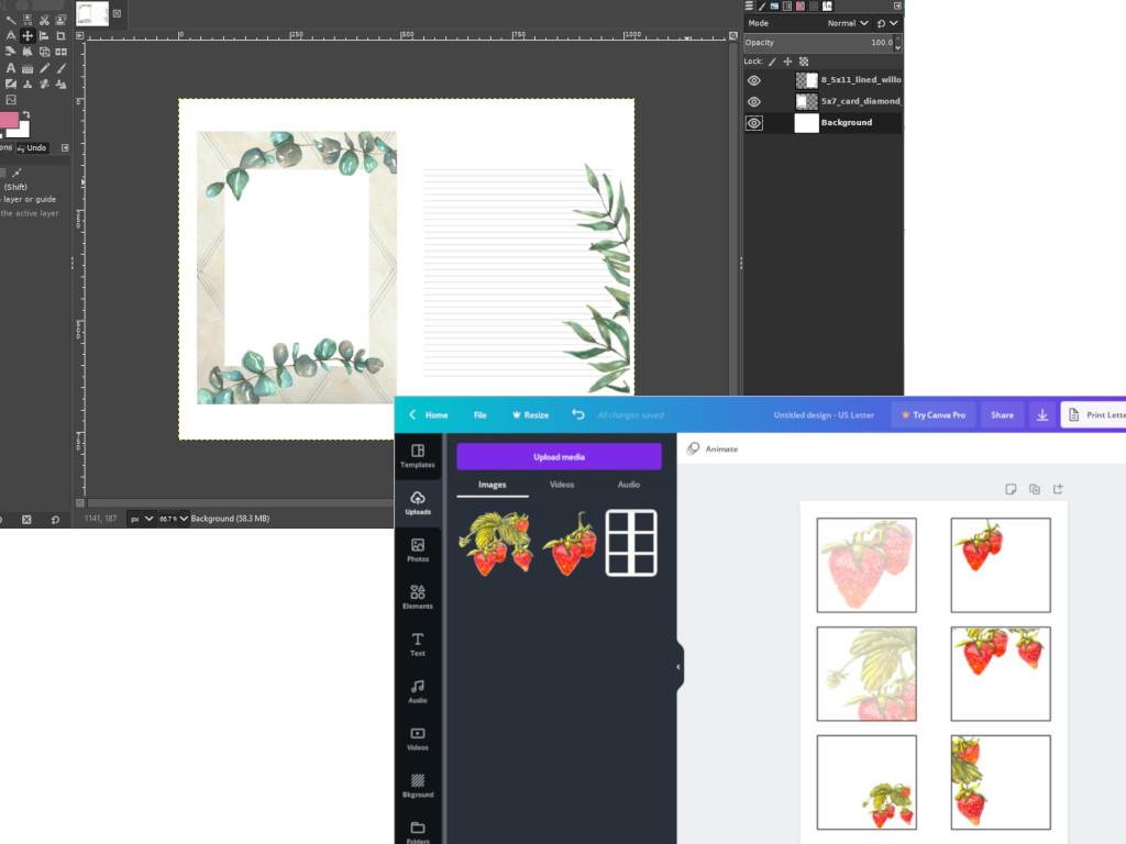 Gimp and Canva screenshots