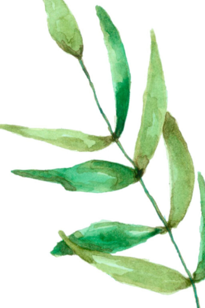 Watercolor Green Leaves