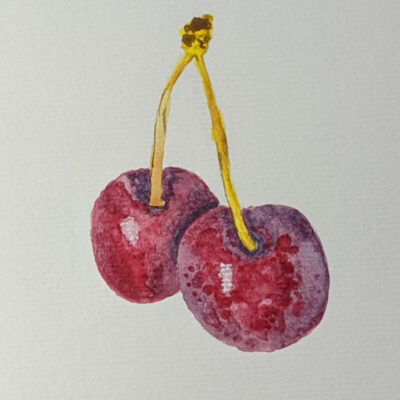 Watercolor Cherries