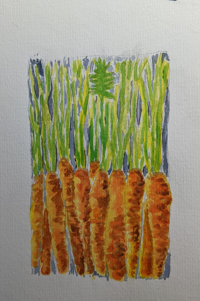 Watercolour Carrots