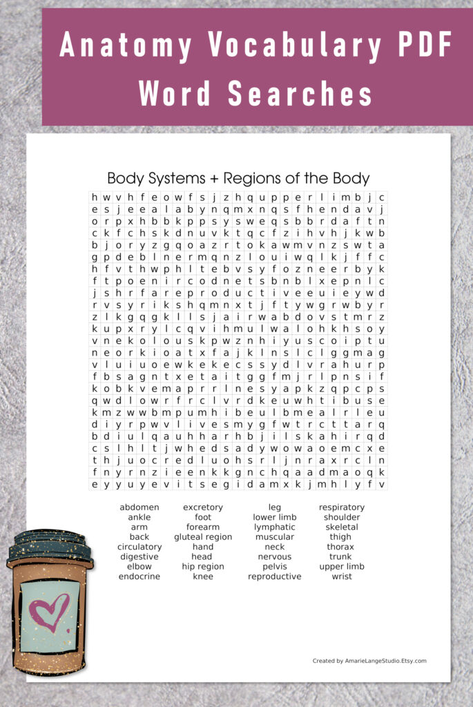 Anatomy Vocabulary PDF Word Searches