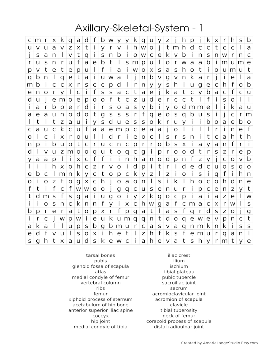 Axillary Skeletal System Printable